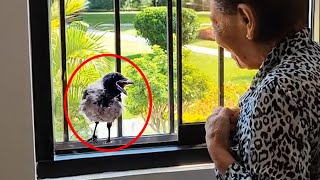 Miniature vidéo
