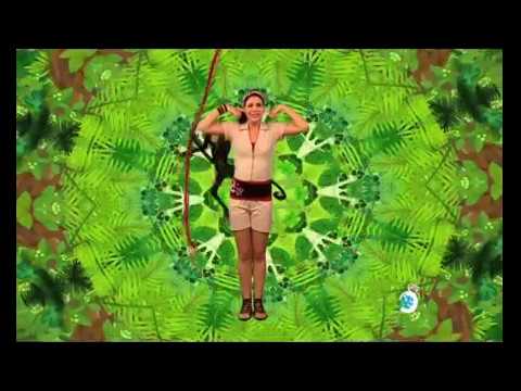 Animapaka: Videoclip Mono