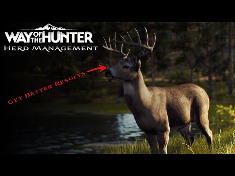 5  ESSENTIAL TIPS! for Managing your Herds - Way of the Hunter