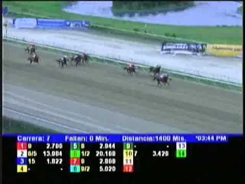 Resumen Viernes, 30 de Noviembre de 2012 - La Rinconada