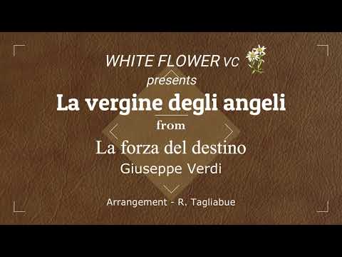 WHITE FLOWER VC III - La vergine degli angeli