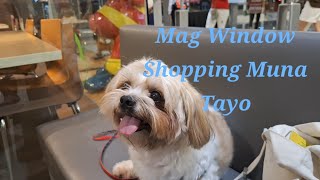 Exploring the Mall/Shops and Enjoying The Day #petexpress #pets #petlover #puppy