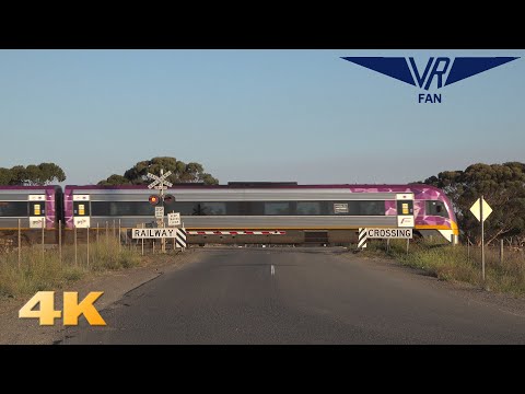 Passenger and Freight at Manor Junction: Australian Trains in 4K