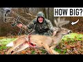 I Hunted A Buck With A Bow For The First Time