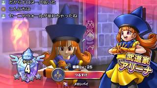 ドラクエライバルズ レジェンド闘技場実況　最強アリーナで１０勝！　中編　ドラゴンクエストライバルズ
