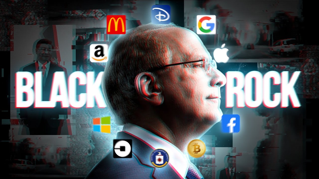 BlackRock - Como essa Empresa Controla o seu Futuro