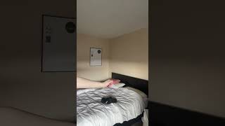 Shut Down #shorts #tiktok #shutdown #Short #shorts #ShotVids #viralshots #trendingshorts