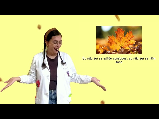 imagem ilustrativa material bilingue