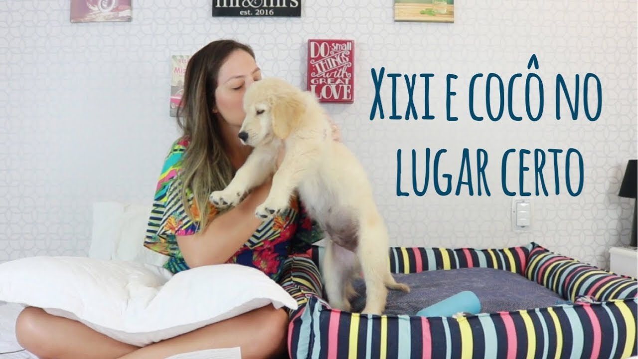 10 dicas sobre Xixi e cocô no lugar certo | Canon | Instagram: @meumundogolden