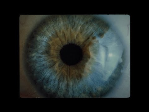 DAVID KOLLER - My se vám ozveme (oficiální videoklip)