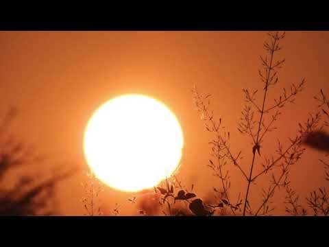 Rageshree Agarkar Saajana 