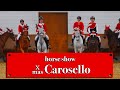 Circolo Ippico Della Brianza Carosello Cavalli Natale Horse Show