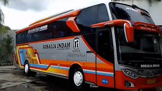 Download lagu (story'wa) bus Rosalia indah 164 version love me love you do. mp3 Download lagu (story'wa) bus Rosalia indah 164 version love me love you do. mp3