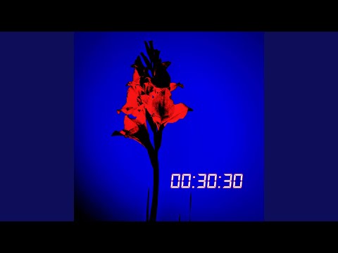 00:30:30