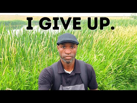 Why I gave up on the AMERICAN DREAM - and you should too