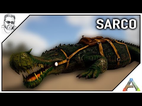 Conhecer e Domar o Sarco - Crocodilo do TLC 2 - Ark Tutorial PT