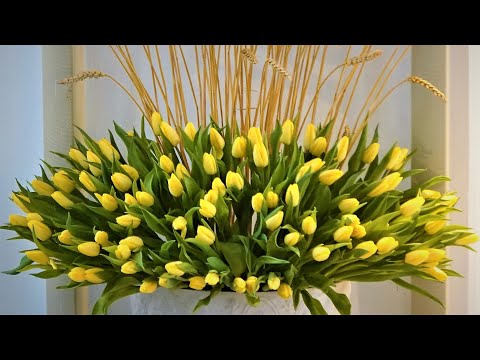 Himnas meilei - Jei kalbėčiau kalbomis žmonių II. Kaimo klebono fonoteka - 224. Išlaužas, 2023 02 12