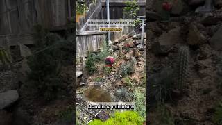 #curiosidade #miniaturas #bondinho