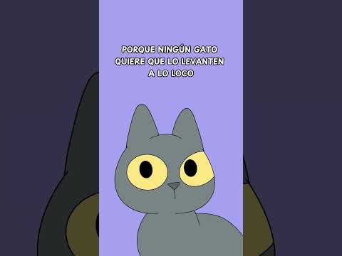 How to pick up your cat without hurting it? 🐱💖 #cats #cat #kittens #felines #kitty #kitties