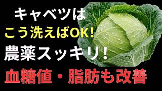 🥬 健康食材キャベツの正しい洗い方｜「重曹・酢」ではありません！農薬を落として鮮度を保つ方法＆食後血糖・お腹スッキリ活用術