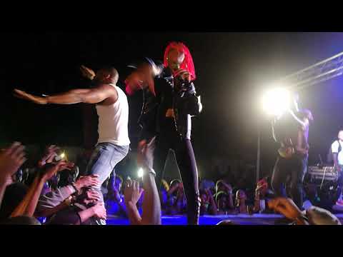 Kg Salone x memish bee