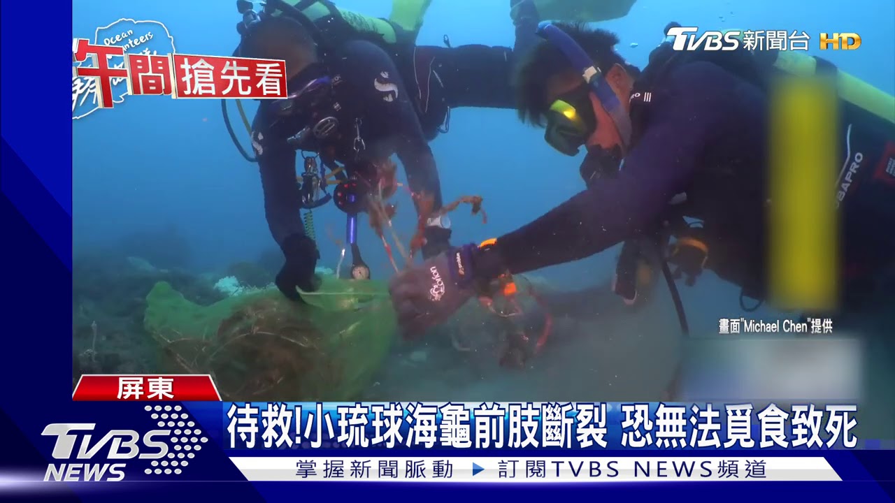待救!小琉球海龜前肢斷裂 恐無法覓食致死