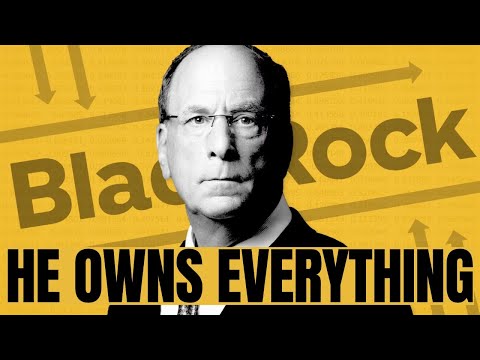 The $22 Trillion Business That Owns The World! The Story Of BlackRock