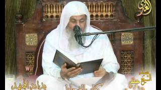 بداية المجتهد  (81) " حكم الأضحية ومن المخاطب بها "  كتاب الضحايا ـ  للشيخ مصطفى العدوي image