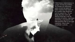 Young men dead - The Black Angels ( True Detective ) (lyrics)