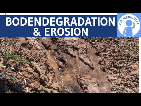 Soil degradation & soil erosion simply explained - causes, process, dangers, measures & desert