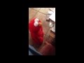 Tickle Me Elmo