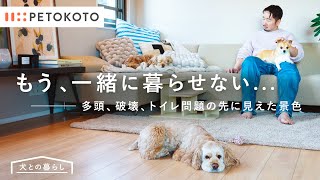 【犬との暮らし #06】フリーランスPR 倉科信さんの犬たちに振り回される毎日、少しずつ築いた家族の物語｜（多頭飼い/チワワ/ジャックラッセルテリア/アメリカンコッカースパニエル/犬のいる生活）