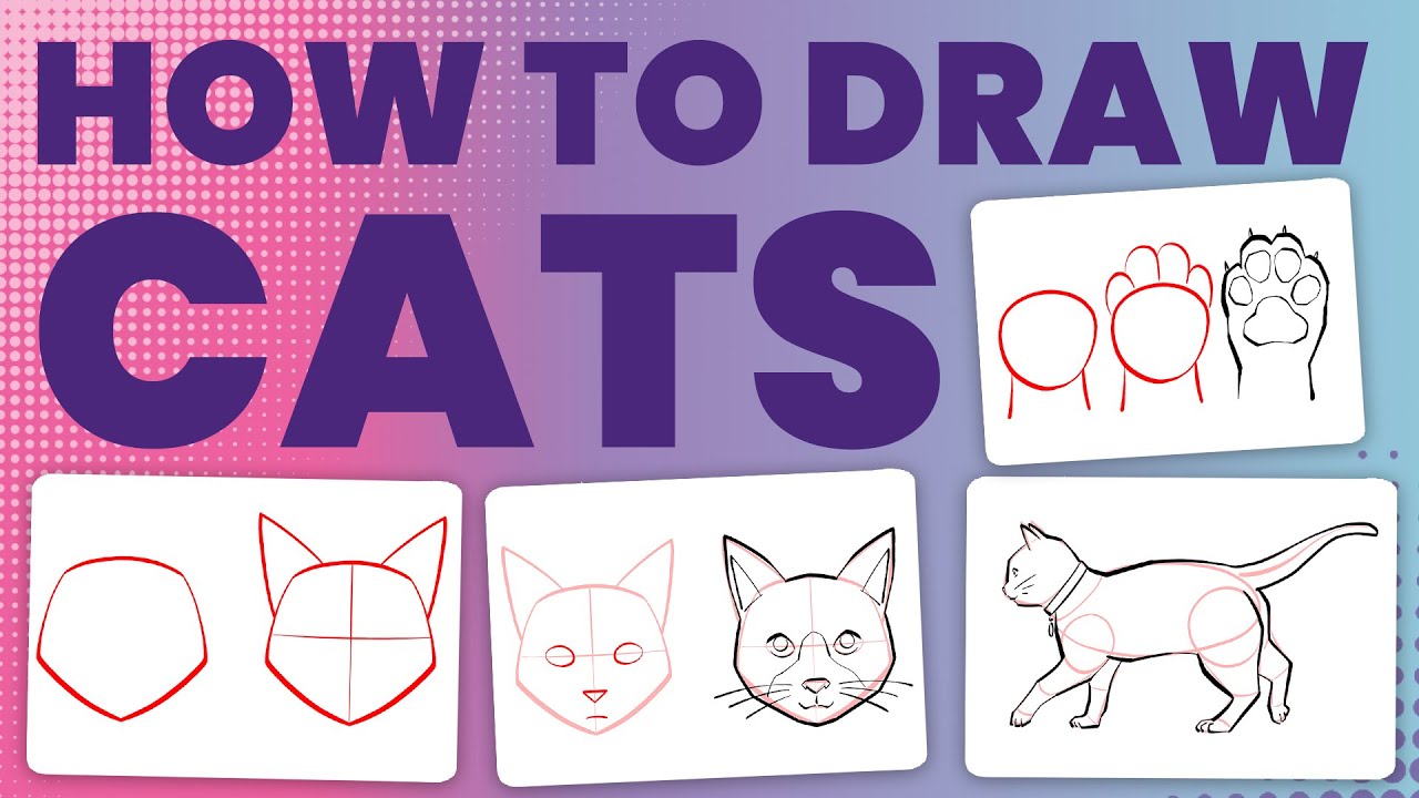 How to draw cats
