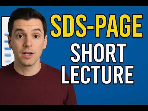 SDS-PAGE Explained in 6 Minutes | Protein Separation Made Simple!