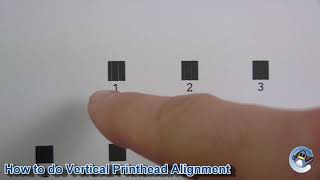 Epson Expression Home XP-4150/XP-4155: How to do Print Head Alignment