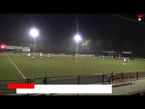 s.v. de Valleivogels - De Merino's