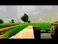 Farmer Whatsapp Status Farmer Status Khet Status