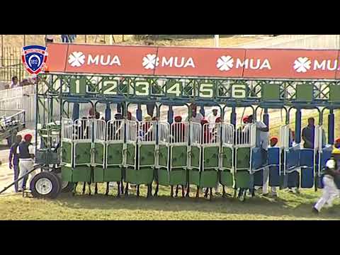 RM28 R5 - Al Mariachi