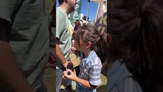 【ライブ ハイライト】çilek festivali フェスティバル!#トルコ #shorts #çilek #sakarya #海外在住