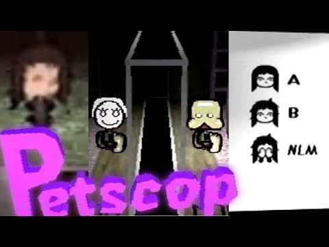 Le jeu vidéo hanté qui refait surface - Petscop - findings N°4