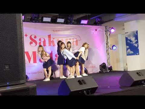 [Fancam] HatoBito - Open World @ Sakura Matsuri