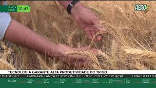 Miniatura do vídeo