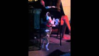 Puppy says "It's not polite to point"