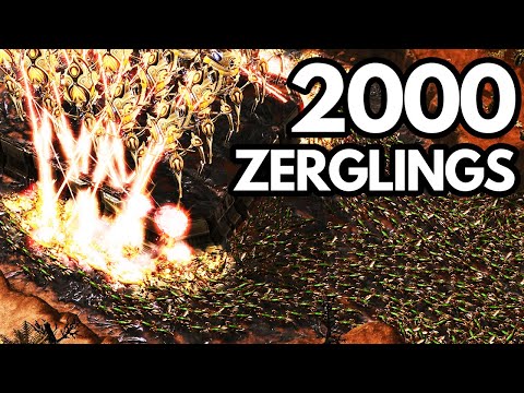 StarCraft 2 FIGHT CLUB