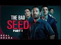 The Bad Seed S1 E1 E2 Crime Series Based On Chartlotte Grimshaw Novels 2019 Real Drama