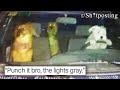 R Sh Tposting Punch It Bro