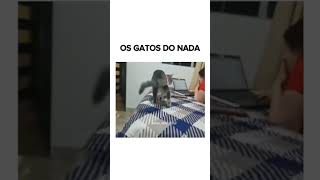 OS GATOS DO NADA