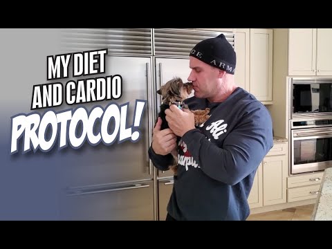 MY DIET AND CARDIO PROTOCOL!