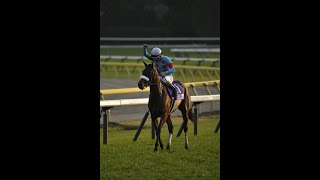 【中央競馬】競馬vlog開始!的中が止まらない??パドック予想の的中率の高さ!!