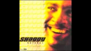 Why Me Lord? - Shaggy